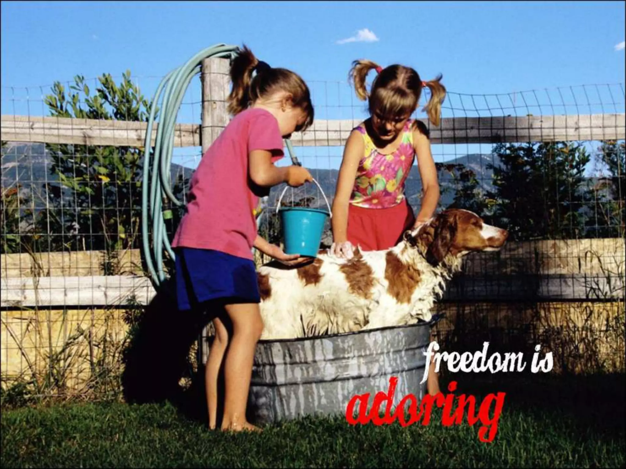 What Does Freedom Mean to You