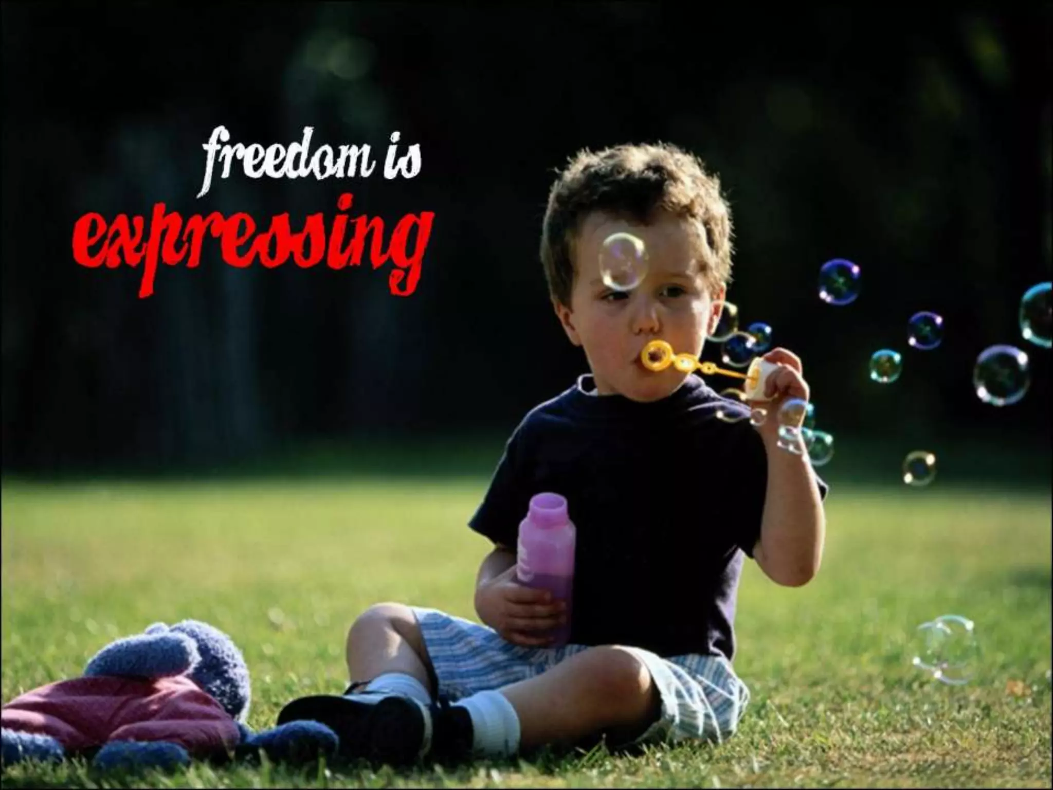 What Does Freedom Mean to You