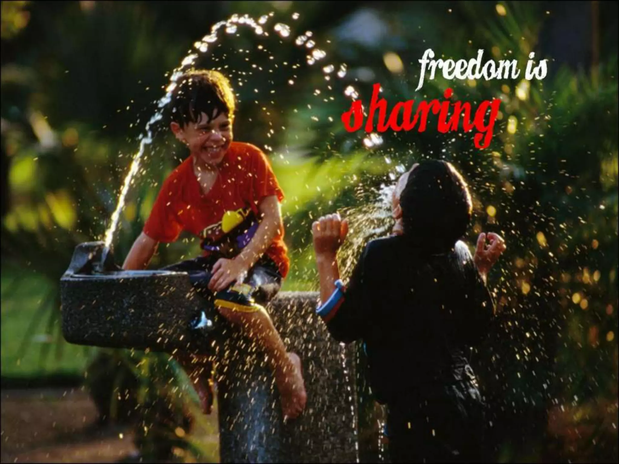 What Does Freedom Mean to You