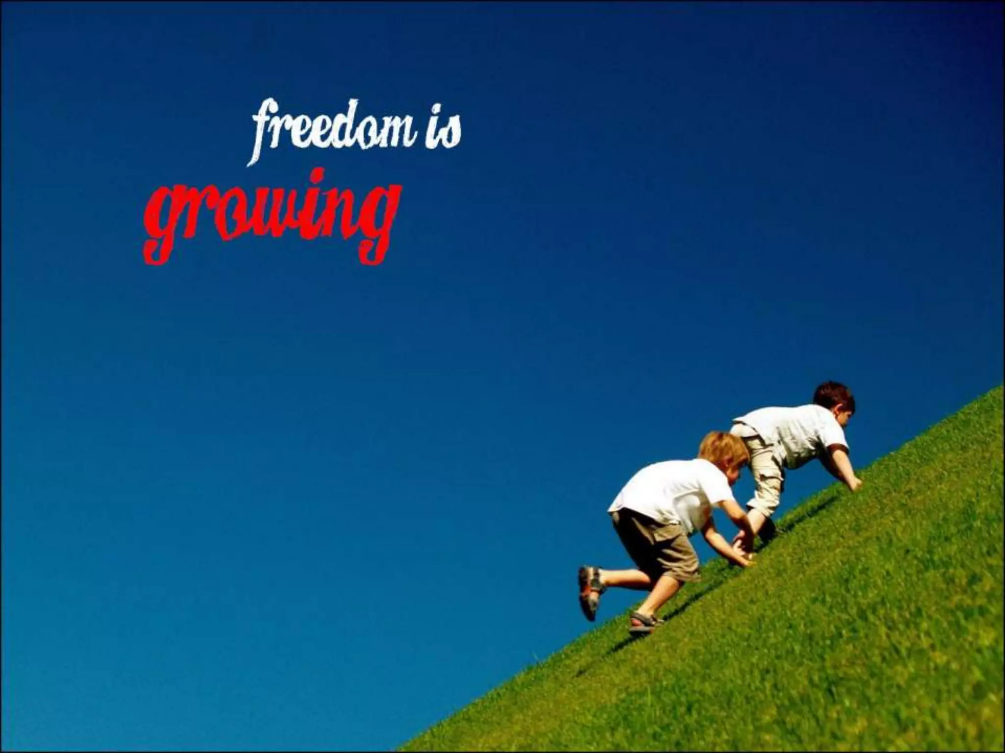 What Does Freedom Mean to You