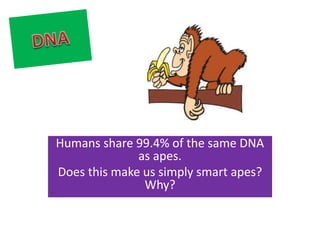 Humans share 99.4% of the same DNA 
as apes. 
Does this make us simply smart apes? 
Why? 
 