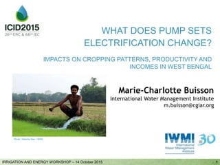Marie-Charlotte Buisson
International Water Management Institute
m.buisson@cgiar.org
1IRRIGATION AND ENERGY WORKSHOP – 14 October 2015
WHAT DOES PUMP SETS
ELECTRIFICATION CHANGE?
IMPACTS ON CROPPING PATTERNS, PRODUCTIVITY AND
INCOMES IN WEST BENGAL
Photo: Nitasha Nair / IWMI
 