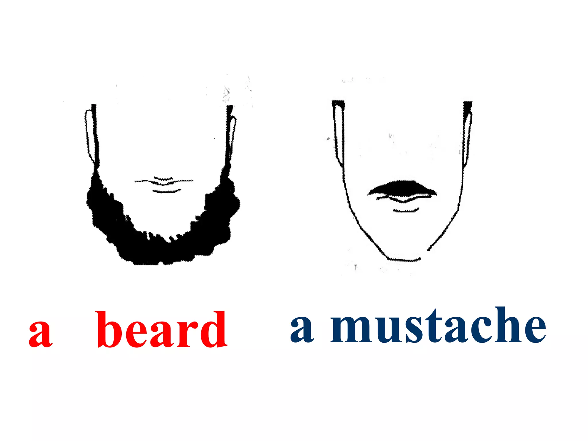 a beard a mustache
 