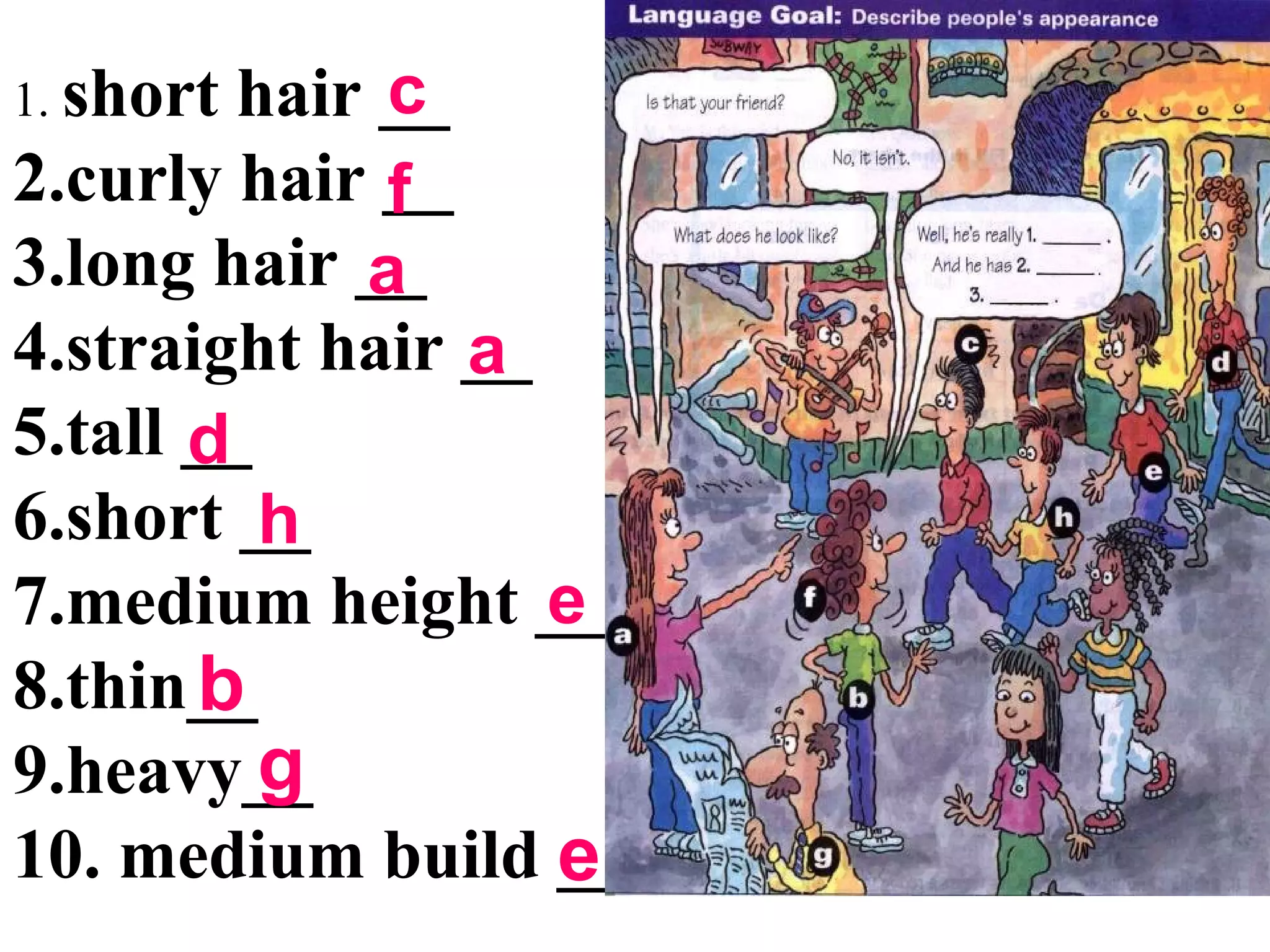 1. short hair __
2.curly hair __
3.long hair __
4.straight hair __
5.tall __
6.short __
7.medium height __
8.thin__
9.heavy__
10. medium build __
c
f
a
a
d
h
e
b
g
e
 