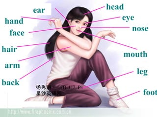 hair
eyehand
head
arm
leg
foot
face
back
nose
mouth
ear
杨秀丽 7B_U7_P1
星沙英语网
 