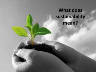 What does
sustainability
mean?

 
