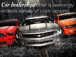 What Does The Color Of Your Car Say About You