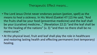 Therapeutic Effect means…
• The Lord Jesus Christ never endorses poison (potion, spell) as the
means to heal a sickness. In His Word (Ezekiel 47:12) He said, “And
the fruits shall be your food (preventive medicine) and the leaf shall
be your (curative) medicine…” (Revelation 22:2) “and the leaf shall be
for the healing of the nations” (v. 3) “and then no there shall be no
more curse.”
• At the physical level, fruit and leaf shall play the role in healthcare
and restoring lasting health and effecting permanent (not temporary)
healing.
Arnulfo Yu Laniba 11
 