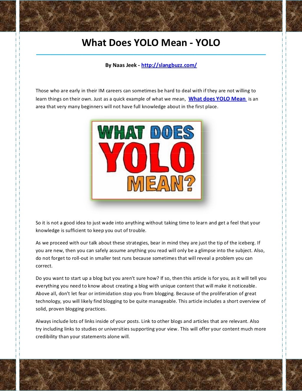 What does yolo mean