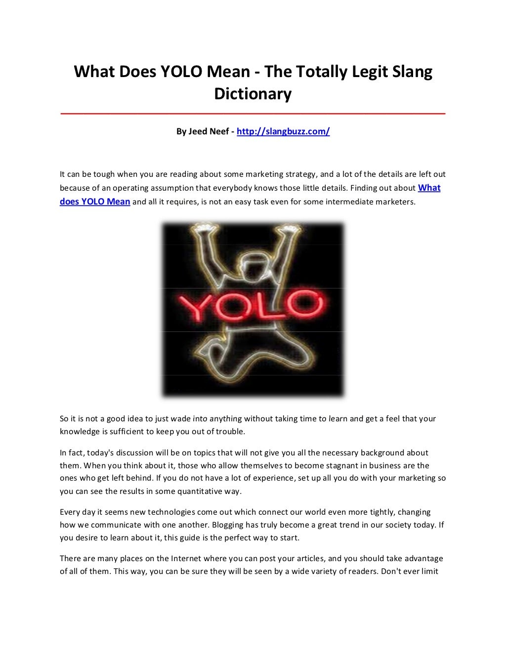 What does yolo mean