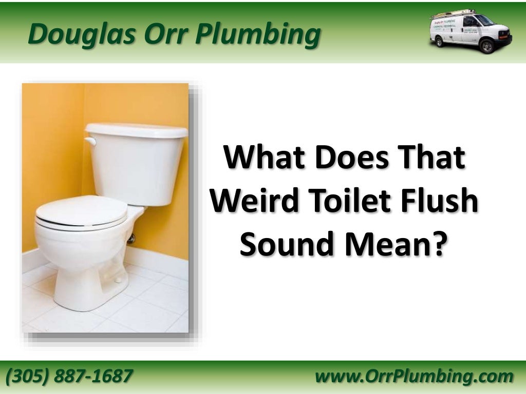 What Does Your Weird Toilet Flush Sound Mean?