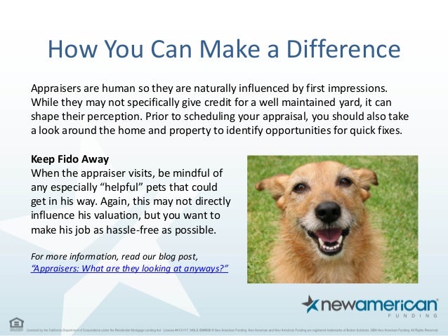 what does a home appraiser look for when refinancing