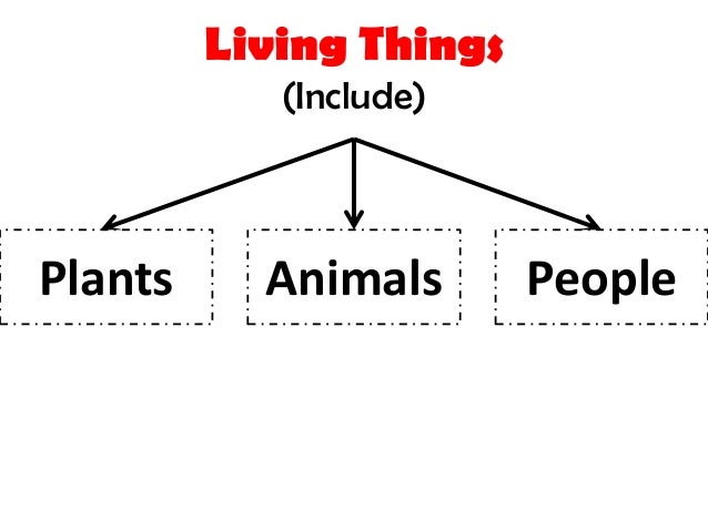 What do living things need to survive