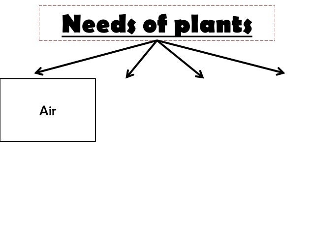 What do living things need to survive
