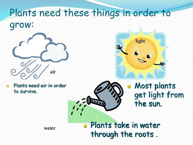 What do plants & animals need to live