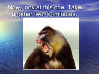 Now, look at this one. Take another two (2) minutes. 