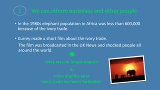 • In the 1980s elephant population in Africa was less than 600,000
because of the ivory trade.
• Currey made a short film about the ivory trade.
The film was broadcasted in the UK News and shocked people all
around the world.
1 We can inform ourselves and other people
ivory was no longer popular
&
a few months later
ivory trade has been forbidden
 