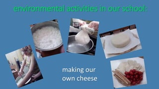 environmental activities in our school:
making our
own cheese
 
