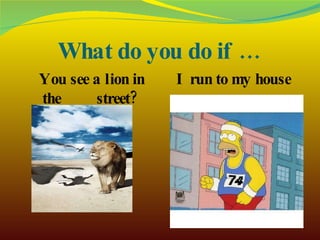 What do you do if … You see a lion in the  street?  I run to my house 