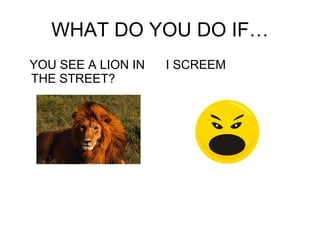 WHAT DO YOU DO IF… YOU SEE A LION IN THE STREET? I SCREEM 