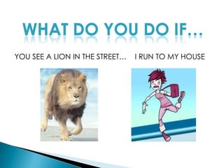 WHAT DO YOU DO IF…YOU SEE A LION IN THE STREET…    I RUN TO MY HOUSE