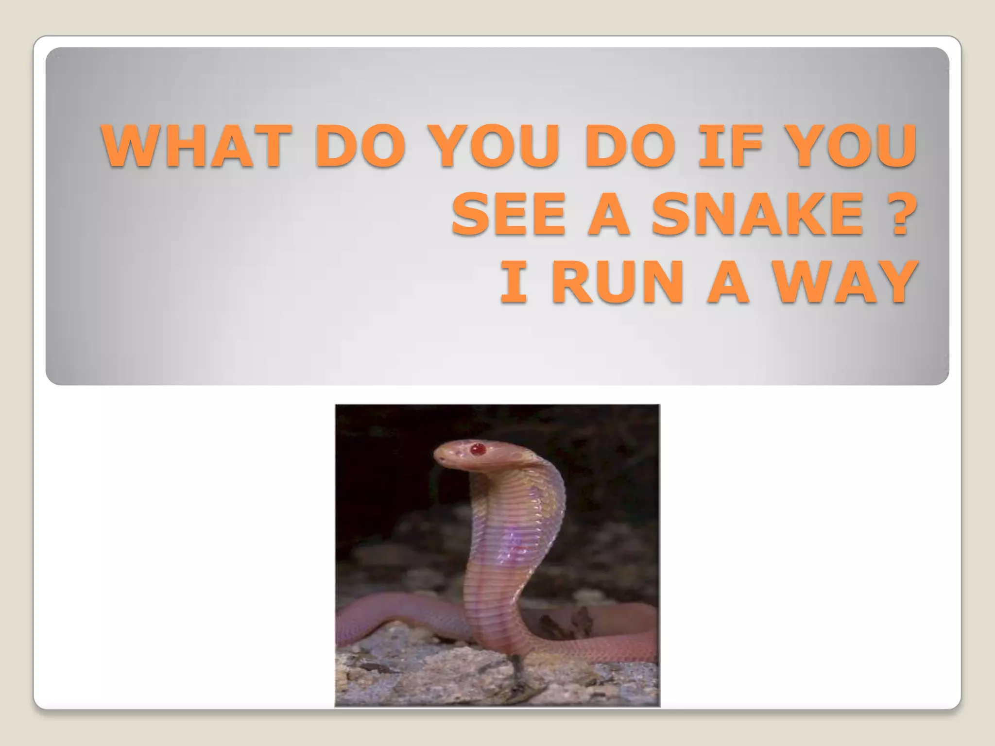 What do you do if 1 PPT