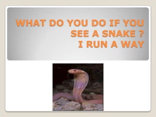 WHAT DO YOU DO IF YOU SEE A SNAKE ?I RUN A WAY  