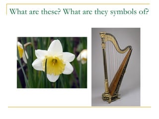 What are these? What are they symbols of?
 