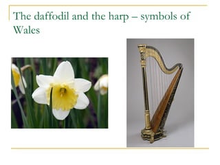 The daffodil and the harp – symbols of
Wales
 
