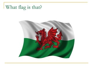 What flag is that?
 