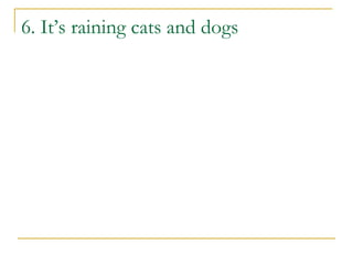 6. It’s raining cats and dogs
 