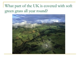 What part of the UK is covered with soft
green grass all year round?
 