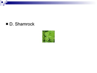 D. Shamrock 