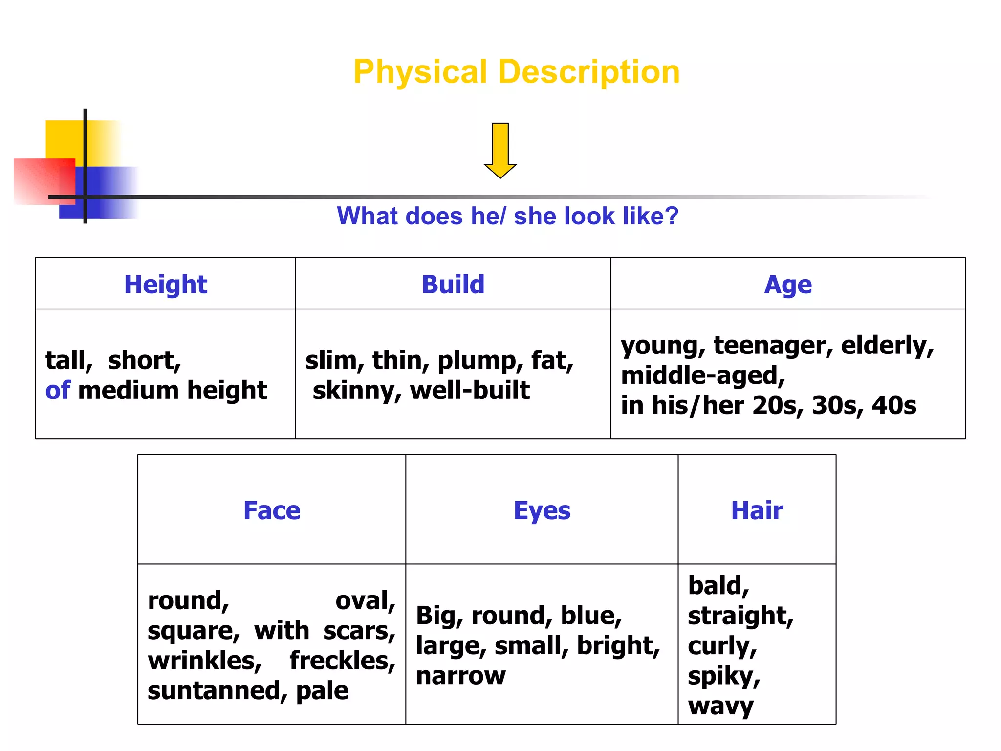 Physical Description What does he/ she look like? young, teenager, elderly,  middle-aged,  in his/her 20s, 30s, 40s slim, thin, plump, fat,  skinny, well-built tall,  short,  of  medium height Age Build Height bald, straight, curly, spiky, wavy Big, round, blue, large, small, bright, narrow round, oval, square, with scars, wrinkles, freckles, suntanned, pale Hair Eyes Face 