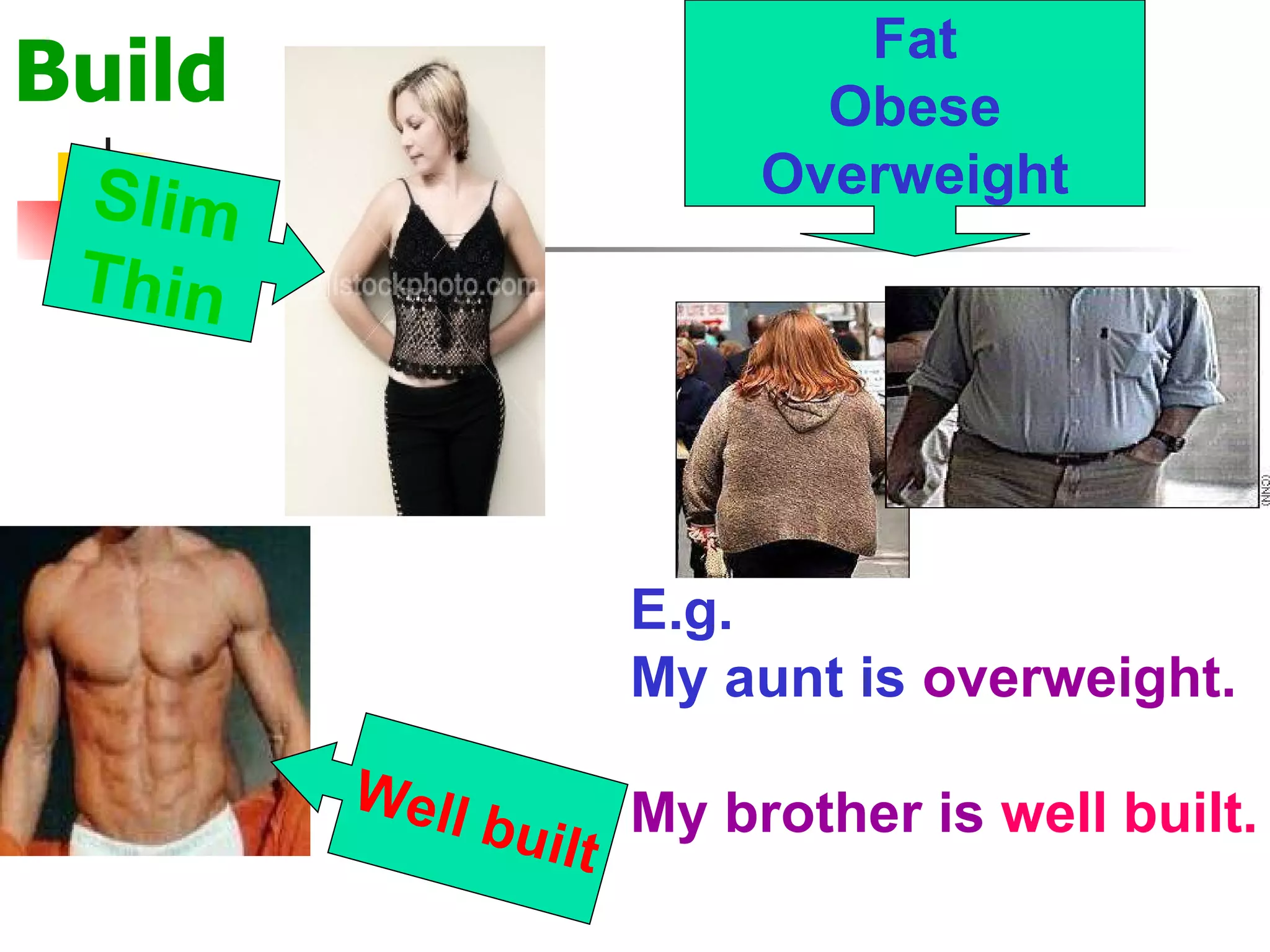 Build Slim Thin Fat Obese Overweight Well built E.g. My aunt is  overweight. My brother is  well built. 