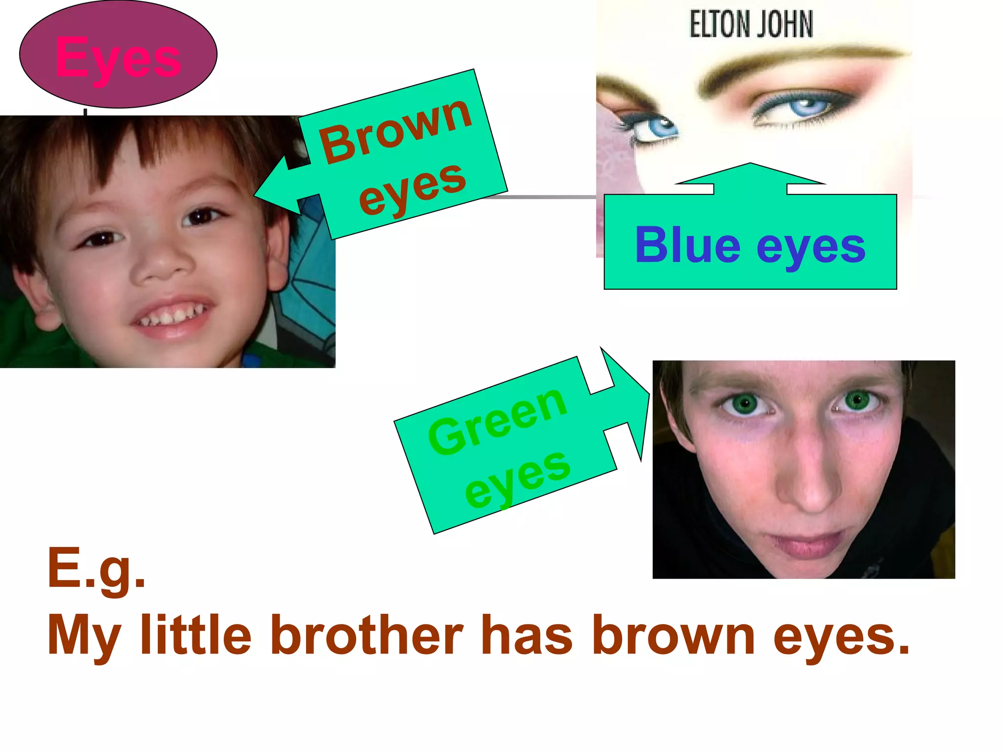 Eyes Brown eyes Blue eyes Green eyes E.g. My little brother has brown eyes. 