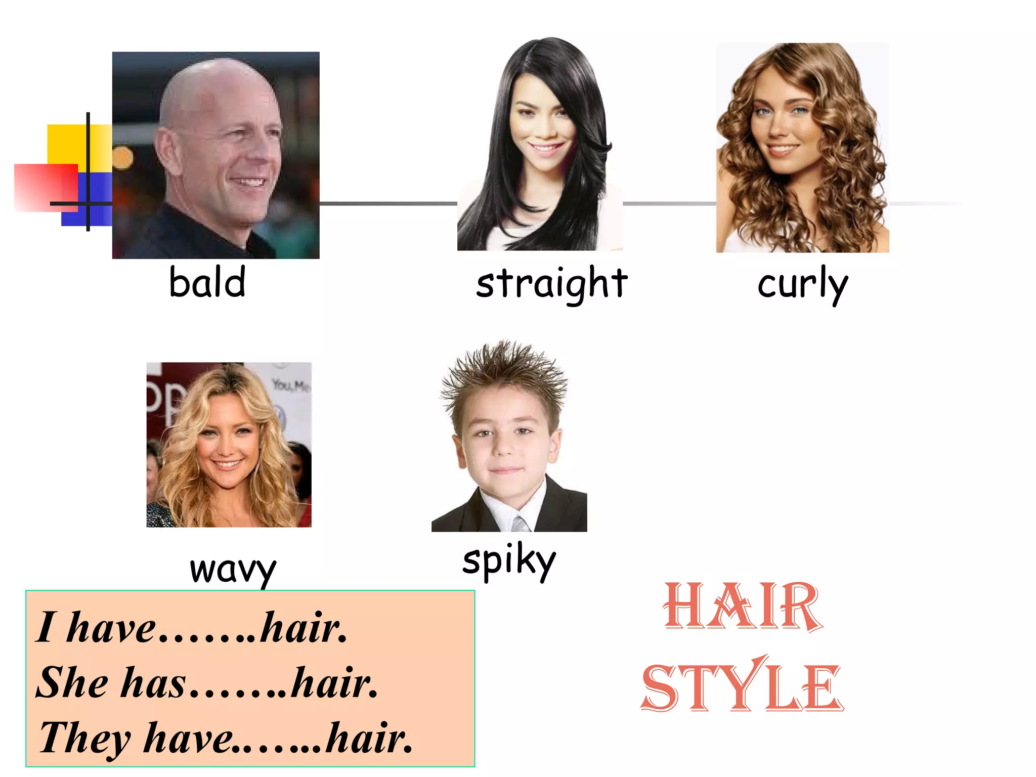HAIR STYLE bald curly straight spiky wavy I have…….hair. She has…….hair. They have..…..hair. 