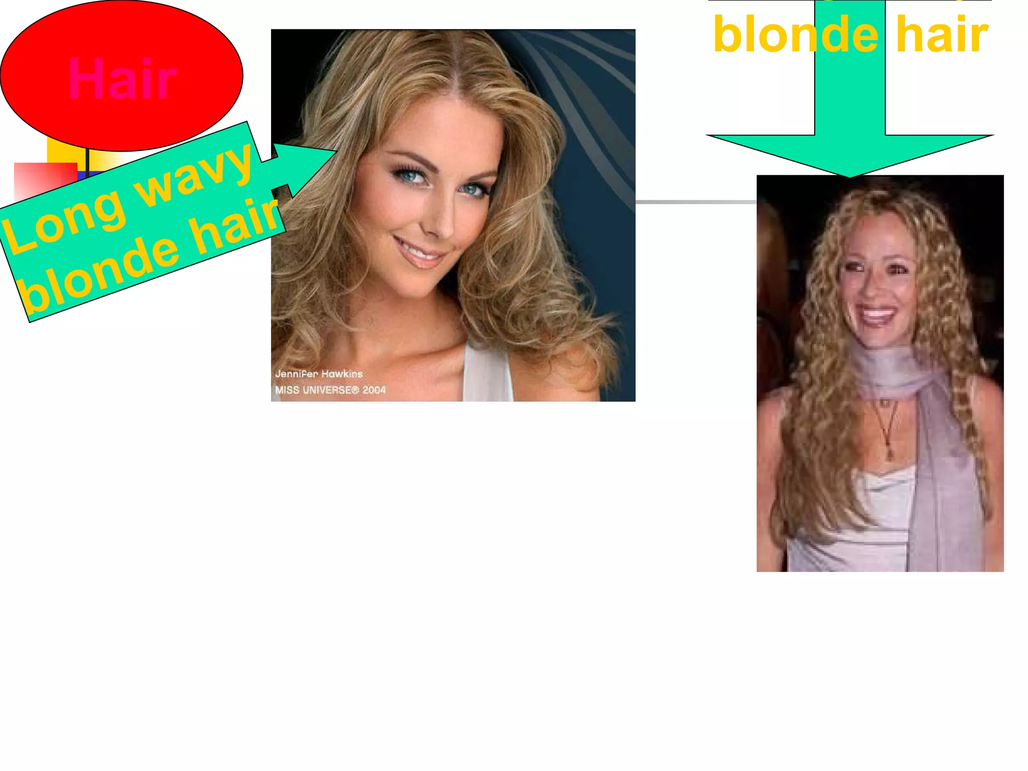 Hair Long wavy blonde hair Long curly blonde hair 