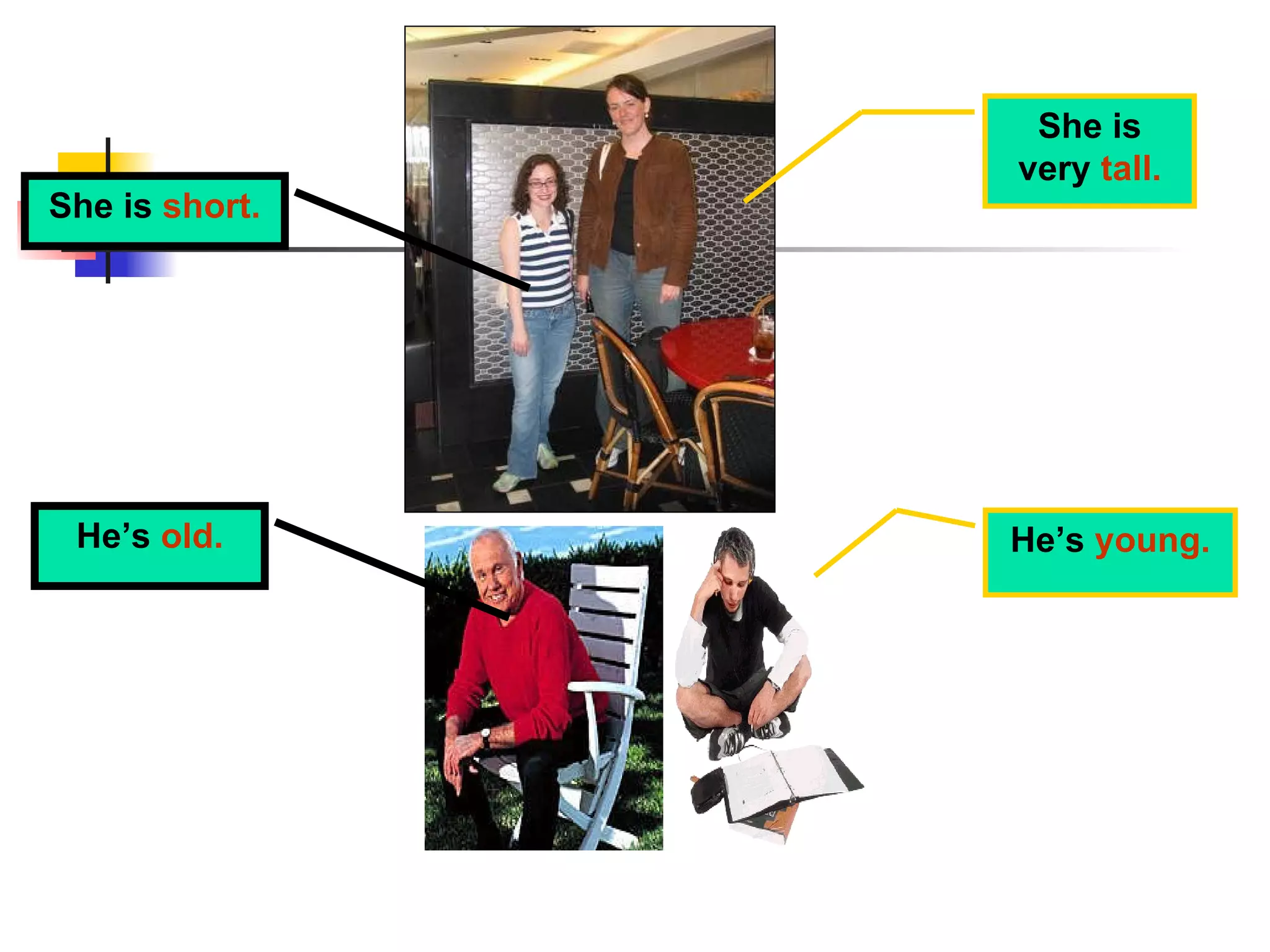 She is  short. She is very  tall. He’s  young. He’s  old. 