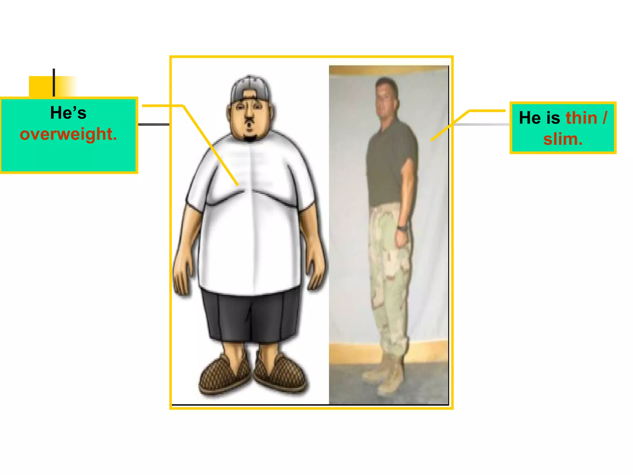 He’s  overweight. He is  thin / slim. 