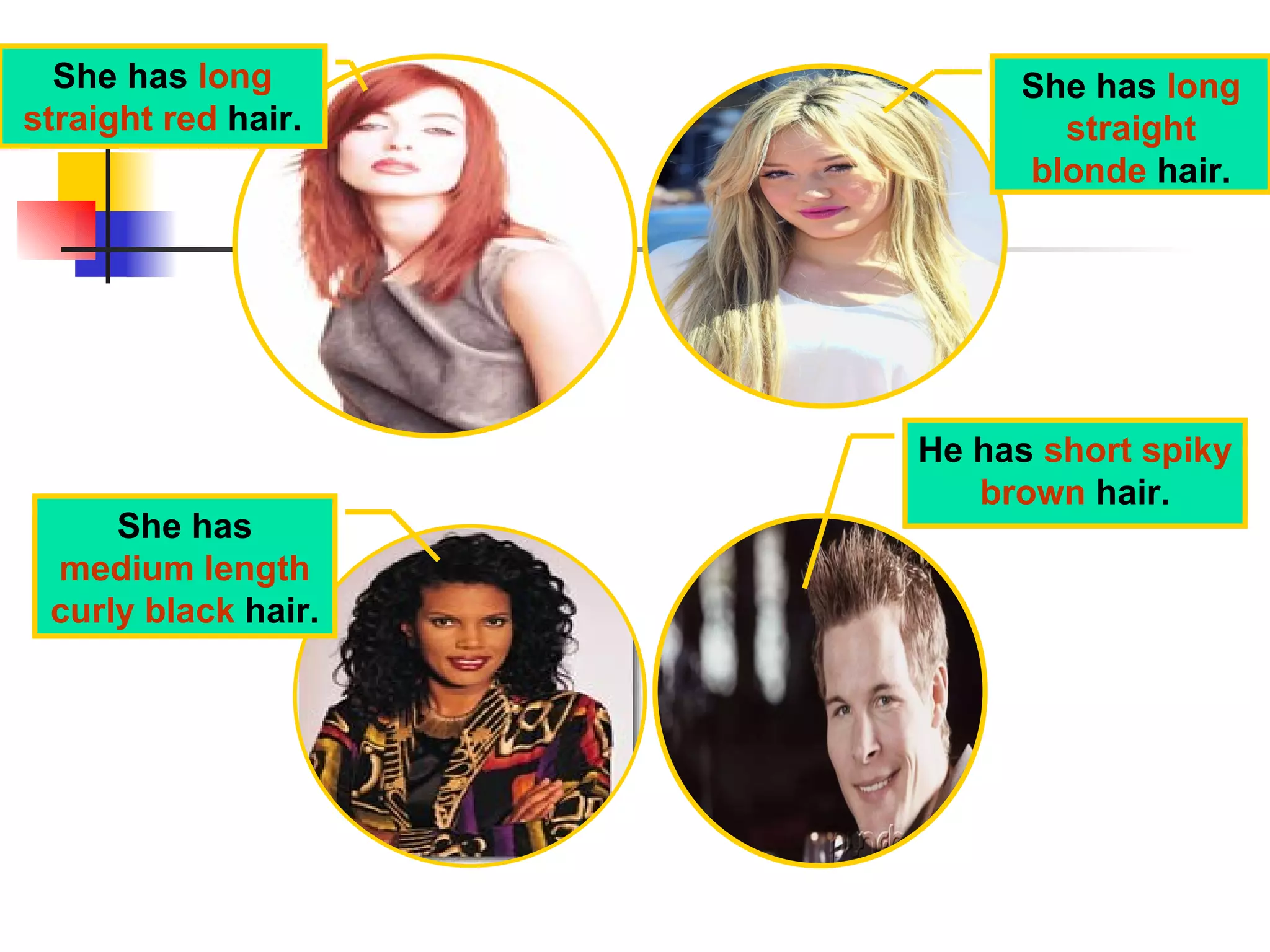 She has  long straight red  hair. She has  long   straight blonde  hair. She has  medium length curly black  hair. He has  short spiky brown  hair. 