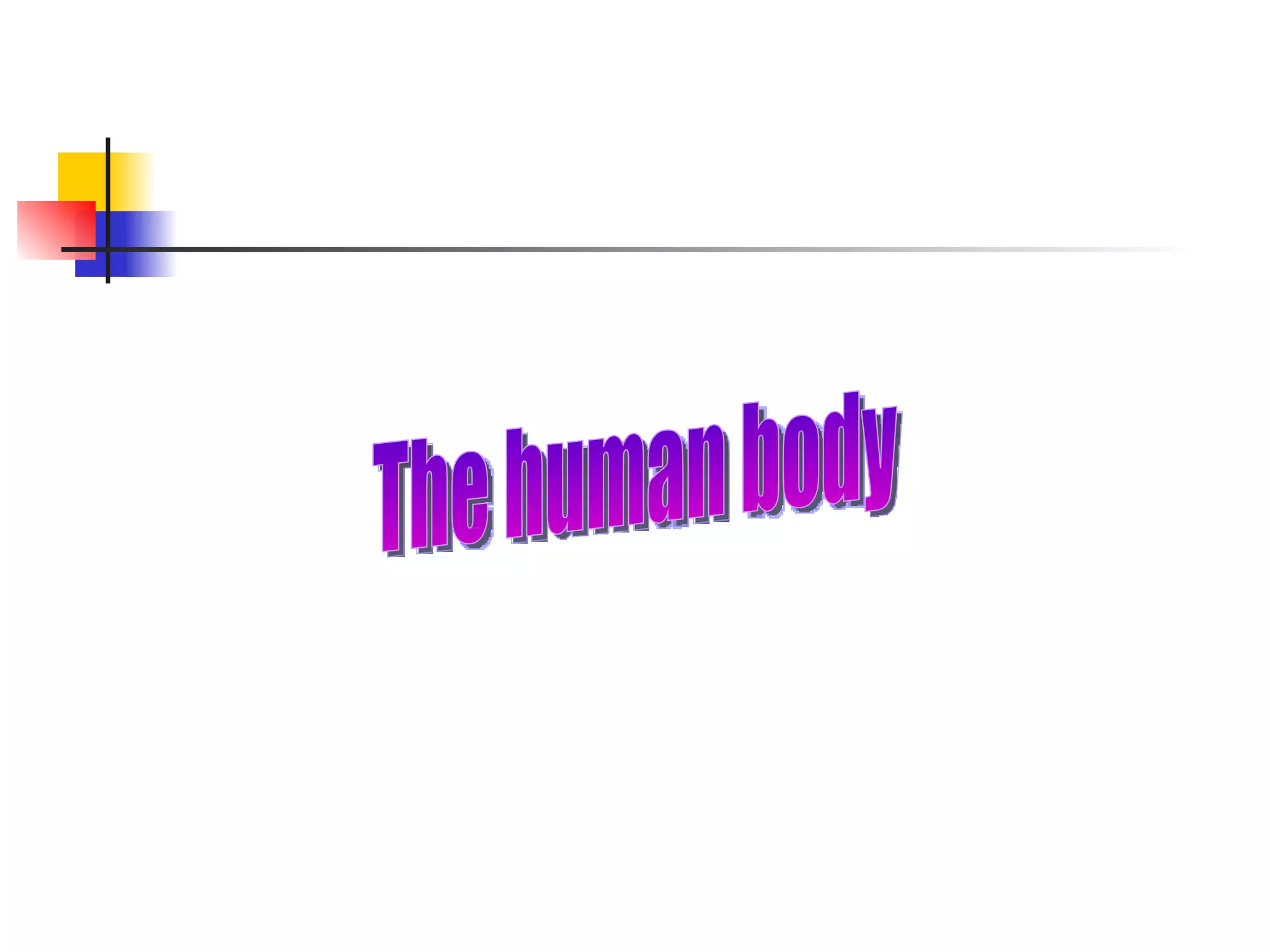 The human body 