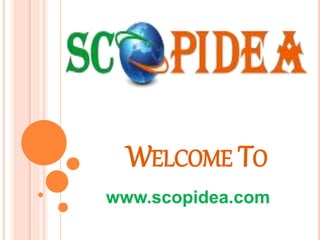 WELCOME TO
www.scopidea.com
 