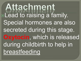 Lead to raising a family.
Special hormones are also
secreted during this stage.
Oxytocin, which is released
during childbirth to help in
breastfeeding
 