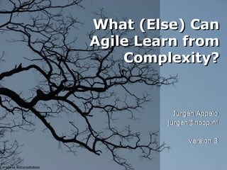 What (Else) Can
Agile Learn from
Complexity?
What (Else) Can
Agile Learn from
Complexity?
Jurgen Appelo
jurgen@noop.nl
version 3
image by BotheredByBees
Jurgen Appelo
jurgen@noop.nl
version 3
 
