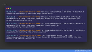 Sally Bot What even are bots and log files - Sally Mills.pptx