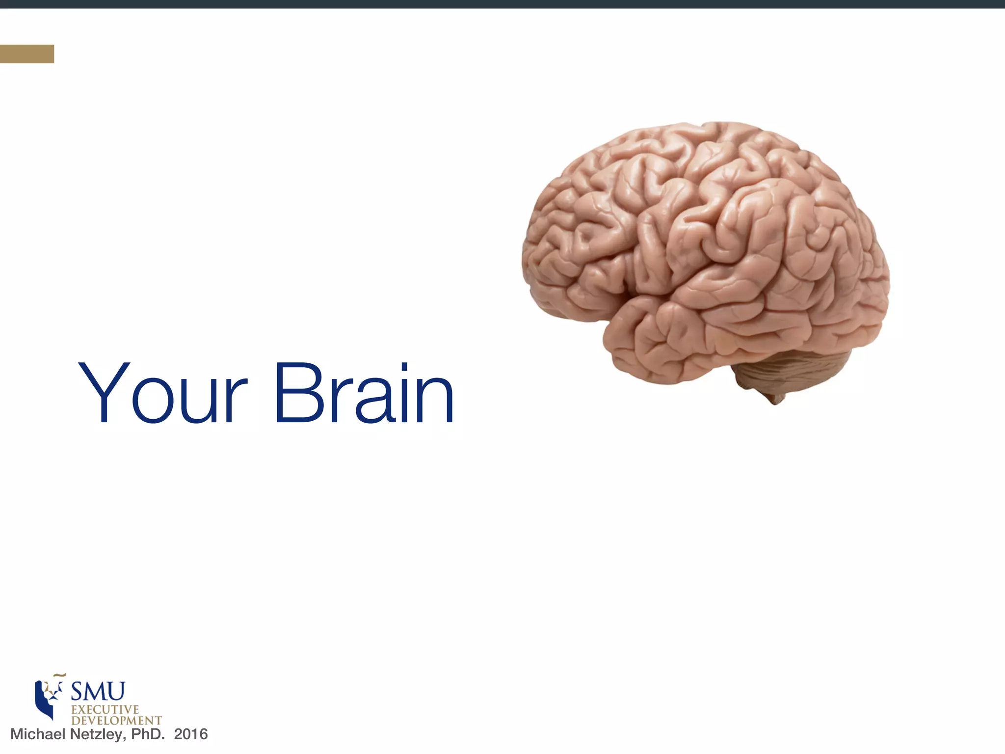 Avoid Unintentionally Stepping on Landmines
Neurosciences teaches us how our best intentions can trigger the
wrong response—and how you can evoke the desired response
Michael Netzley, Phd. 2016
 