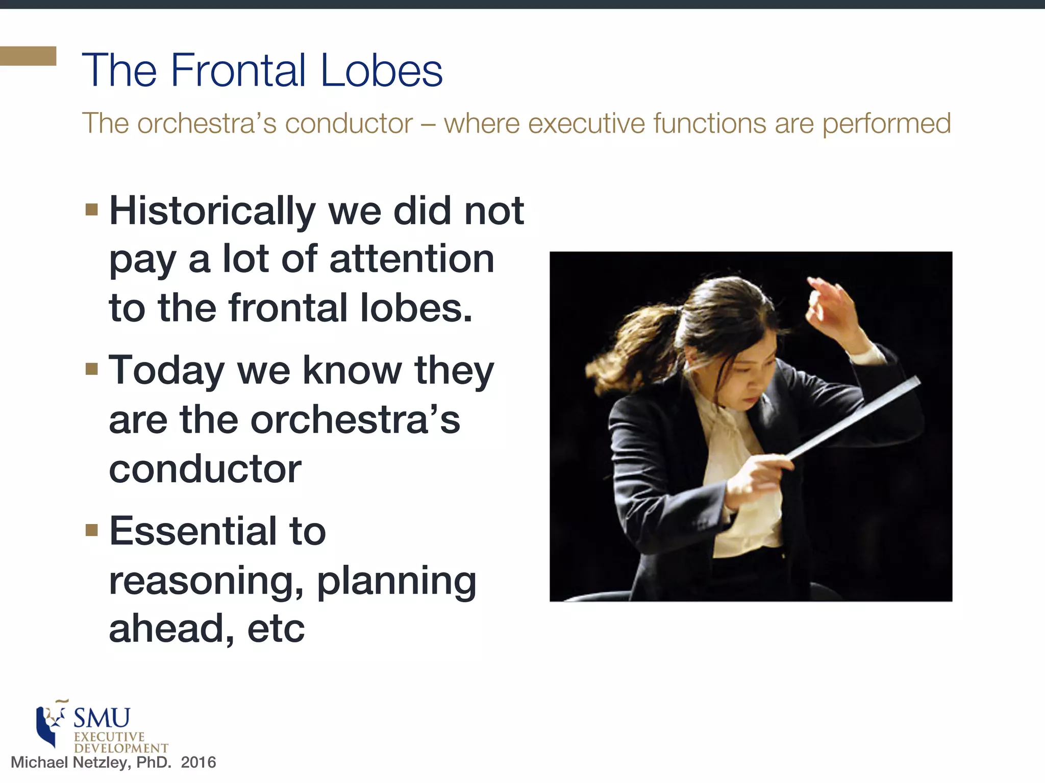 Master Your Cognitive Biases
Michael Netzley, Phd. 2016
 