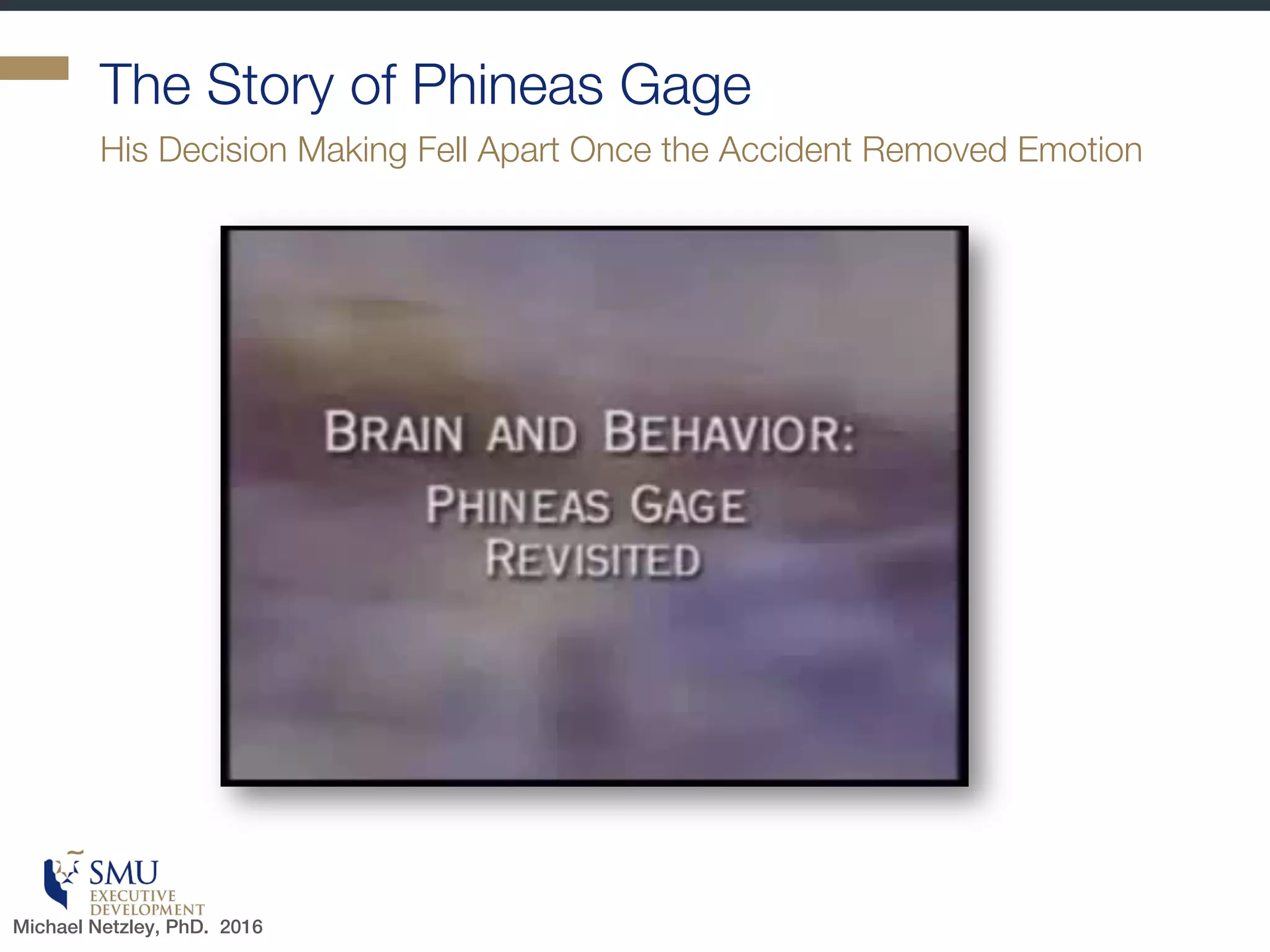 Social vs Physical Brain
Where both reside in the brain
Michael Netzley, PhD. 2016
 