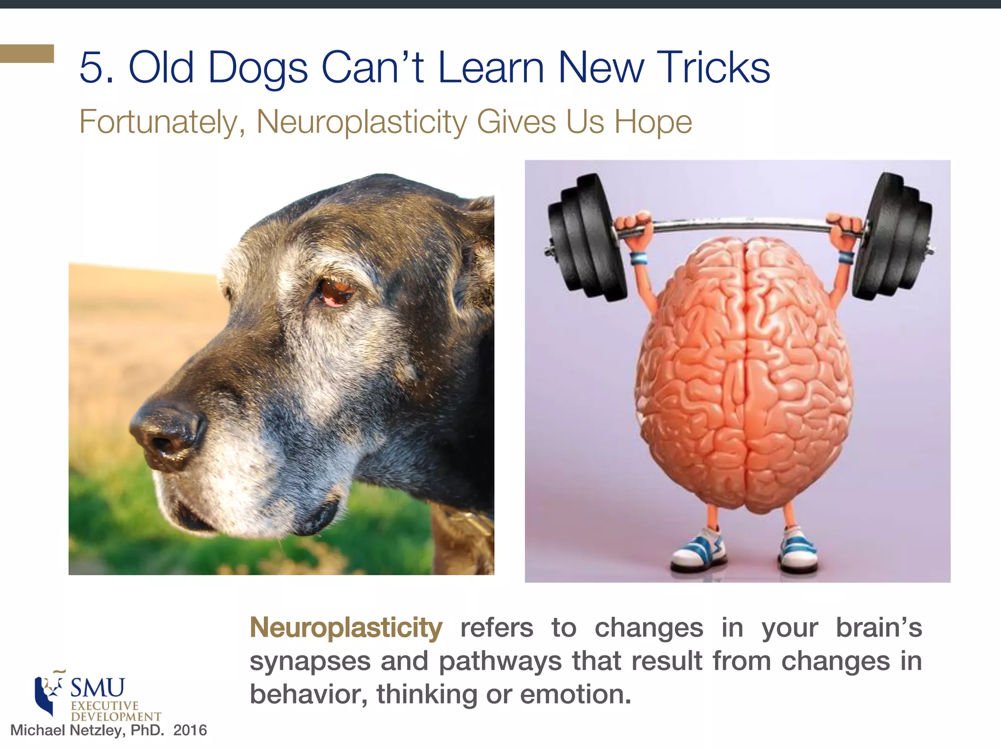Relatedness
§ In the brain, trust and empathy
toward others is shaped by
whether they are perceived to
be part of the same social
group
§ Meet someone new = brain
“friend or foe” decision
§ As we become friends, brain
releases oxytocin (linked to
affection, generosity, maternal
instinct)
§ Threats of loneliness or
isolation can flood the brain
with neurochemicals identical
to when we feel physical pain
Fruitful collaboration depends on healthy relationships
Michael Netzley, PhD. 2016
 